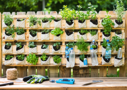 apprenez à créer un jardin vertical diy avec notre guide pratique en français, utilisant des matériaux de récupération faciles à trouver pour embellir votre espace de manière écologique et économique.