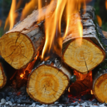 découvrez l'efficacité thermique du mimosa en bois de chauffage à travers une analyse complète de ses propriétés et avantages pour un chauffage naturel et performant.