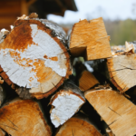 découvrez les risques liés à la présence de mérule sur le bois de chauffage et les précautions essentielles pour protéger votre maison et votre santé.