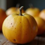 Pomme de terre Colomba : guide complet sur sa culture, ses modes de cuisson et ses utilisations gourmandes